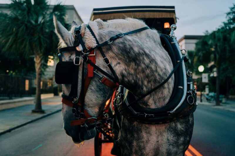 Charleston: Haunted Carriage Evening Tour - The Experience of the Guided Haunted Carriage Ride