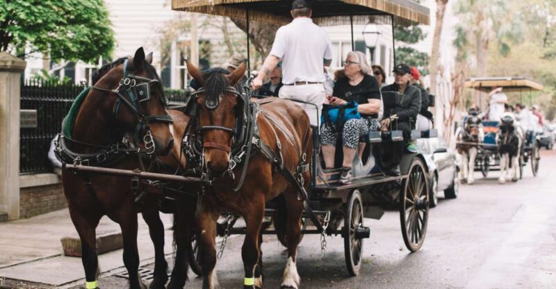 Charleston: Haunted Horse-Drawn Carriage Evening Tour - The Reviews: What Past Participants Say