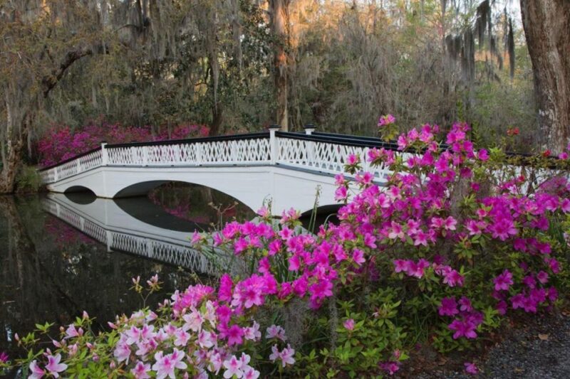 Charleston: Historic City Tour & Magnolia Plantation Combo - Transition to Charlestons Historic District