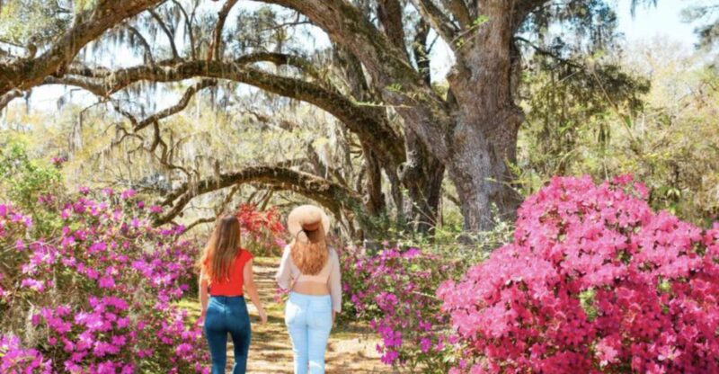 Charleston: Historic City Tour & Magnolia Plantation Combo - Practical Details and Logistics