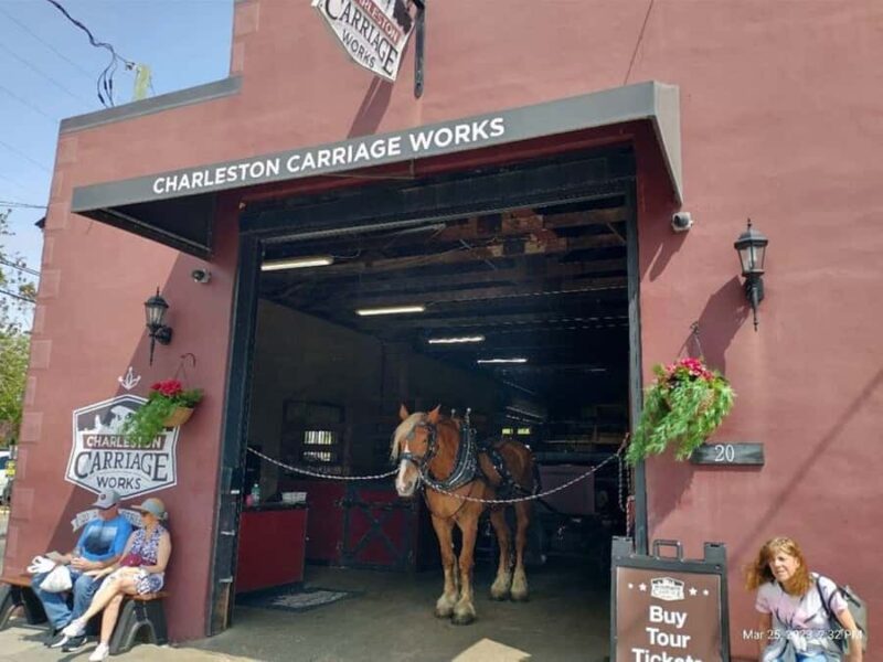 Charleston: Historic Residential Horse and Carriage Tour - Discover Charleston from a Historic Horse-Drawn Carriage