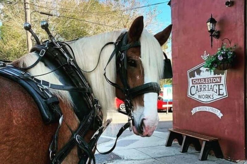 Charleston: Historic Residential Horse and Carriage Tour - Comparing Similar Tours in Charleston