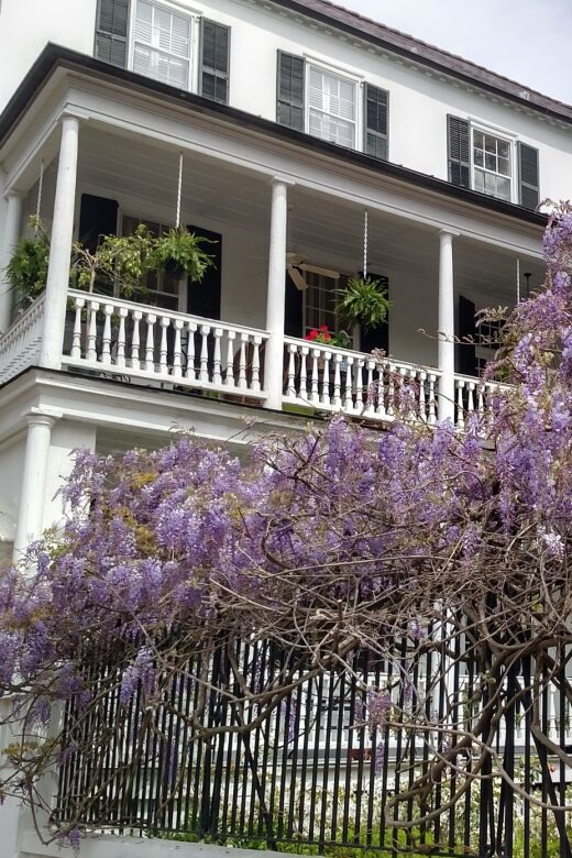 Charleston: Historical Walking Tour with Storytelling - Key Points