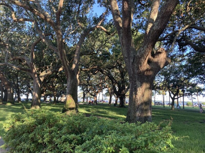 Charleston: Historical Walking Tour with Storytelling - Value and Booking Flexibility