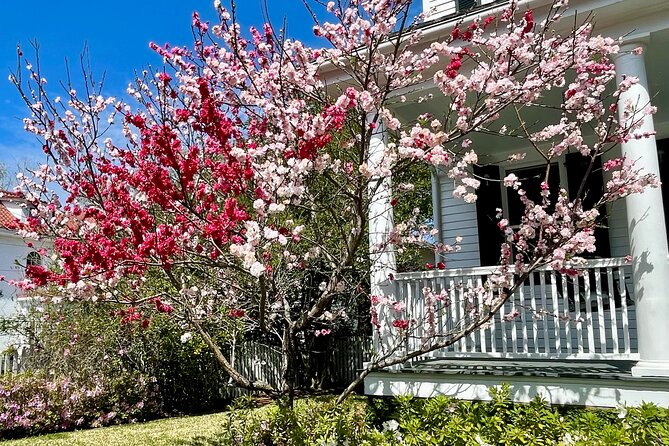 Charleston History Tour / - Key Points