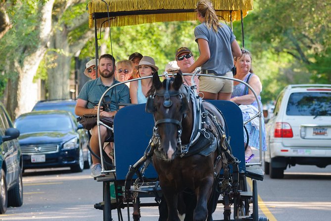 Charleston Horse & Carriage Historic Sightseeing Tour - The Starting Point at Charleston City Market