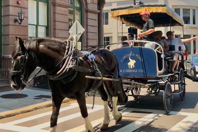 Charleston Horse & Carriage Historic Sightseeing Tour - Booking, Cancellation, and Additional Info