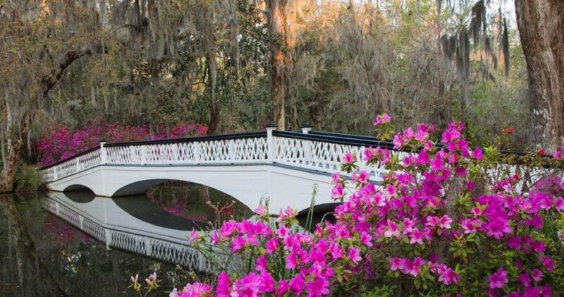 Charleston: Magnolia Plantation Entry & Tour with Transport - Practical Details: Duration, Group Size, and Accessibility