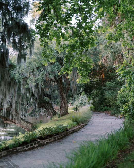 Charleston: Magnolia Plantation & Gardens Guided Tour - Key Points