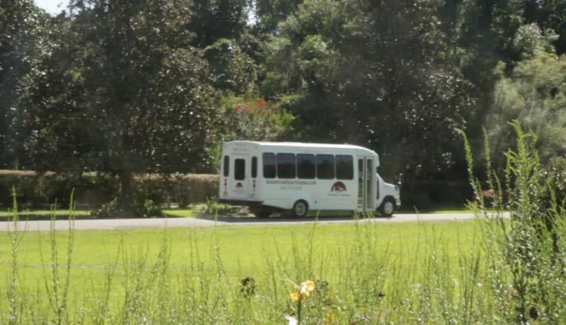 Charleston: Magnolia Plantation with Transport and City Tour - Starting at Magnolia Plantation and Gardens
