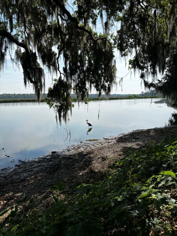 Charleston: Middleton Place Guided Tour with Lunch - Starting Point at the Charleston Visitors Center