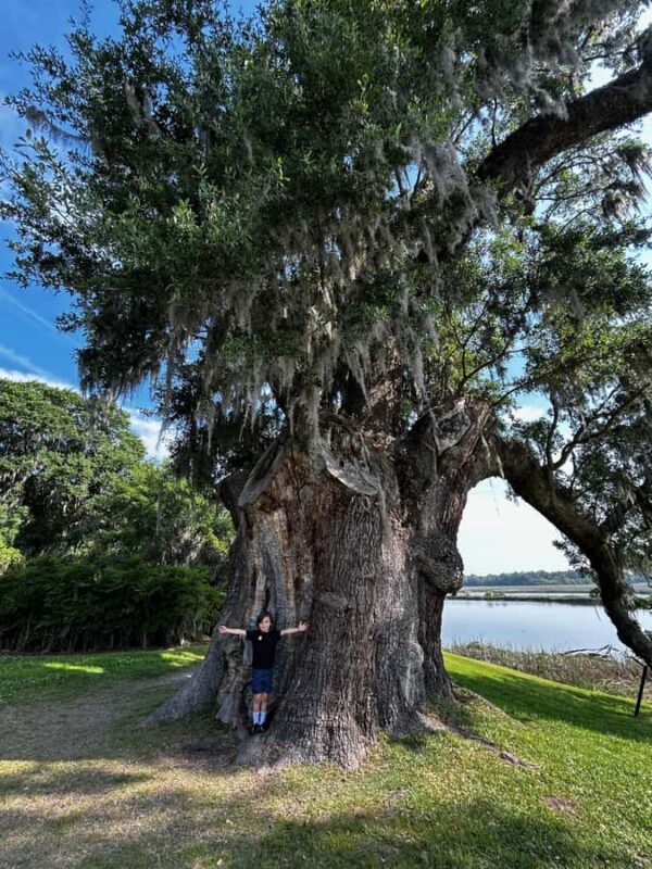 Charleston: Middleton Place Guided Tour with Lunch - Return Journey and Final Stop