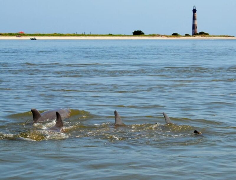 Charleston: Morris Island Lighthouse Eco-Boat Tour - Discover the Unique Charm of Charleston’s Morris Island Eco-Boat Tour