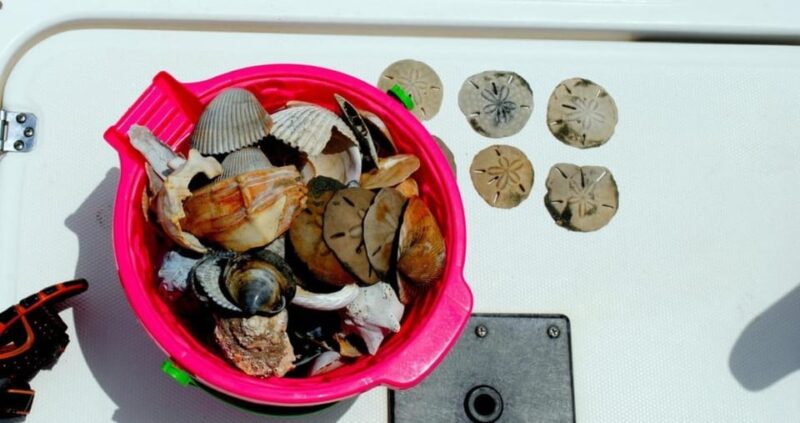 Charleston: Morris Island Lighthouse Eco-Boat Tour - Return Journey and Reflection on the Coastal Ecosystem