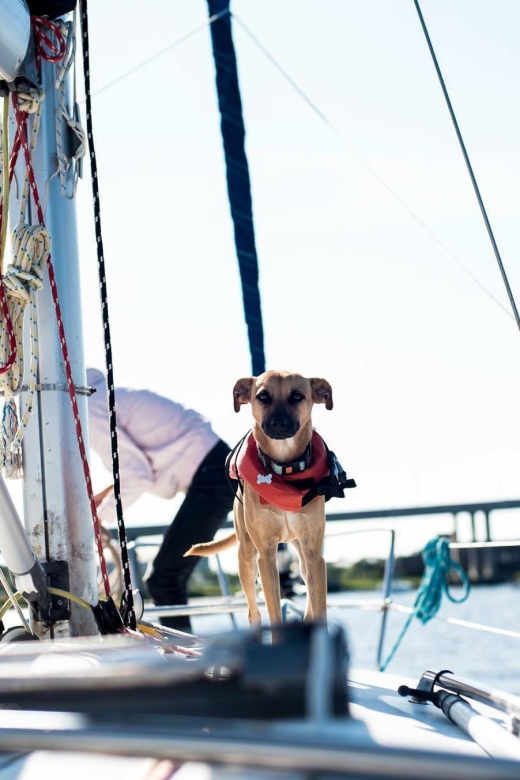 Charleston: Private BYOB Luxury Yacht Cruise - Experience Charleston from the Water on a Private Luxury Yacht