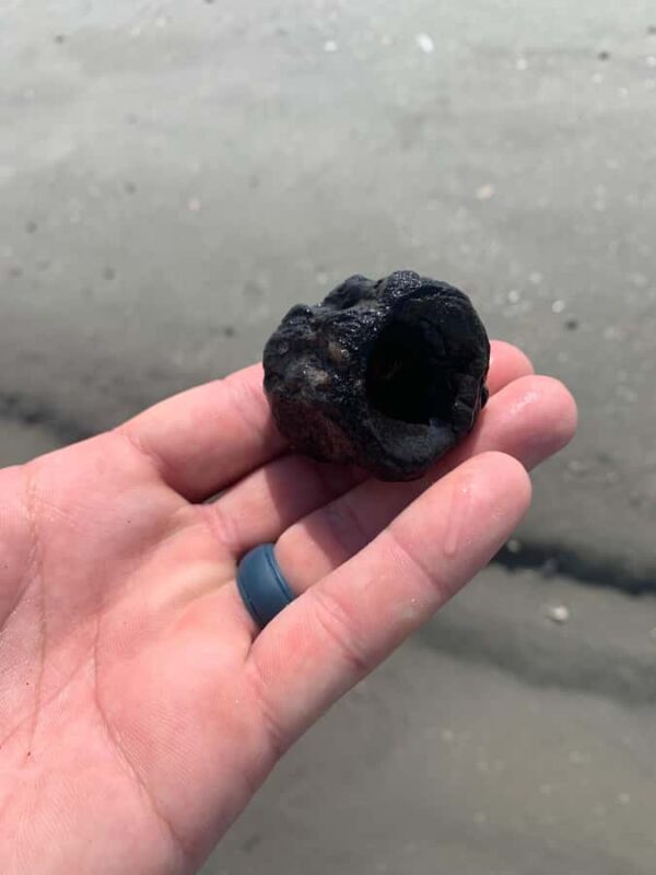 Charleston: Private Shark-tooth hunt and Lighthouse Viewing - What Sets This Tour Apart from Other Coastal Excursions