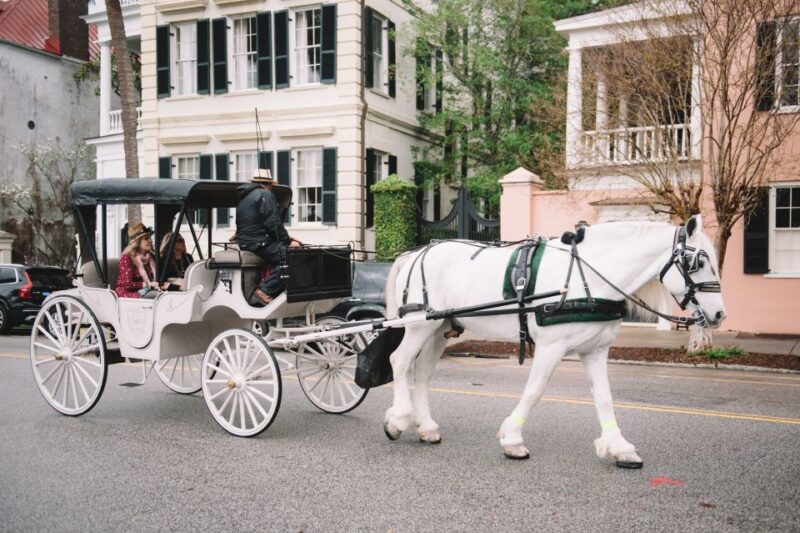 Charleston, SC: Private Daytime Horse-Drawn Carriage Ride - Key Points