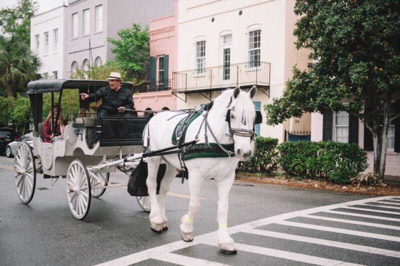 Charleston, SC: Private Daytime Horse-Drawn Carriage Ride - What You’ll See Along the Route