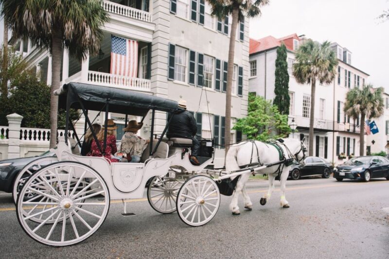 Charleston, SC: Private Daytime Horse-Drawn Carriage Ride - The Horses and Carriage Comfort