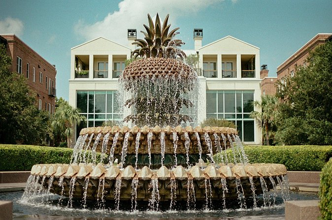 Charleston Style VIP Tour - Choosing Between Boone Hall Plantation and McLeod Historic Site