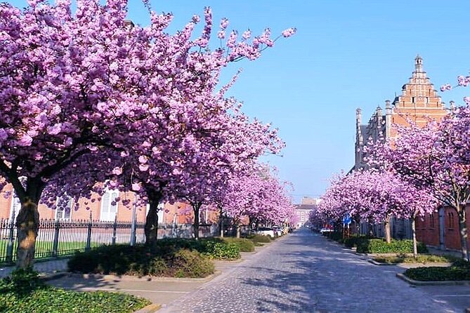 Charlie's Private Off The Beaten Path Tour (Ghent) - Who Will Appreciate This Tour the Most?