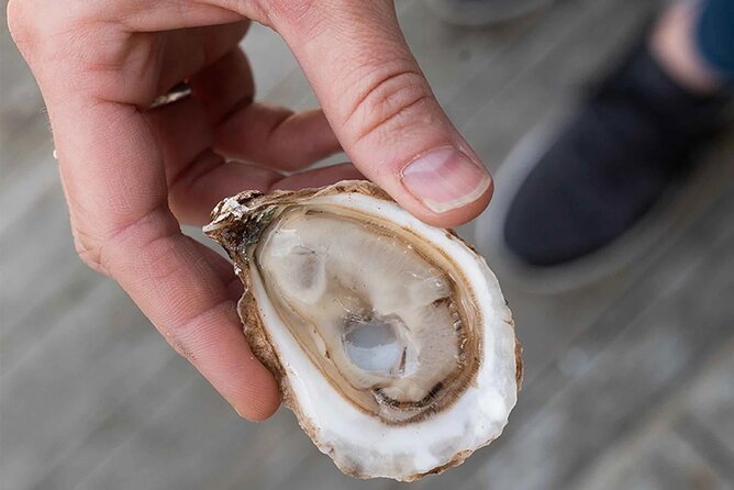 Charlottetown Food Walking Tour - Final Taste Test at Lobster on the Wharf