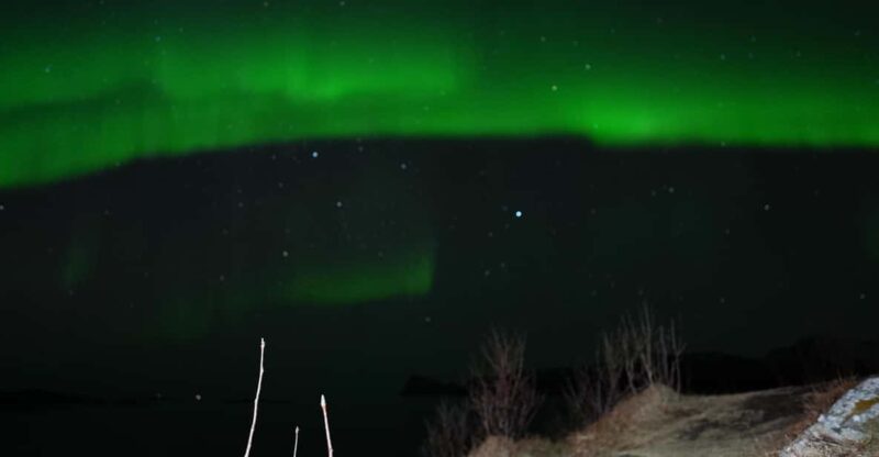 Chase the Magic of the Northern Lights in Tromsø Norway - Key Points