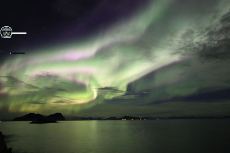 Chase the Northern Lights with a Photographer - Warm Drinks and Comfort in the Arctic Night