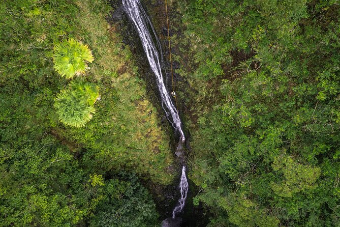 Chasing Waterfalls:Wild Hawaii Rappelling - Starting Point and Meeting Logistics in Honolulu