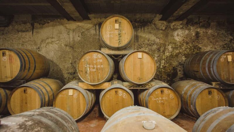 Château Arton Guided Tour and Armagnac Tasting - Exploring Château Arton’s Vineyard and Terroir