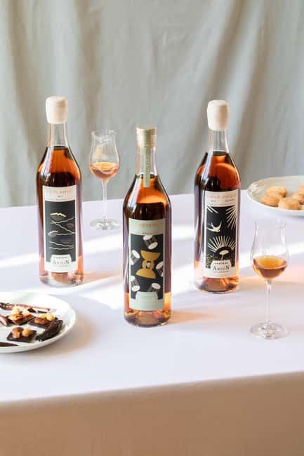 Château Arton Guided Tour and Armagnac Tasting - Visiting the Armagnac Ageing Cellar