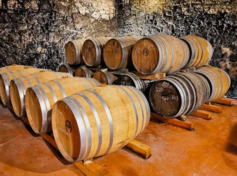 Château Arton Guided Tour and Armagnac Tasting - The Tasting Experience and Food Pairings