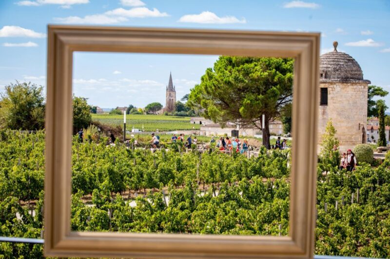 Château Balestard La Tonnelle : The "Origins" tour - Booking, Cancellation, and Accessibility