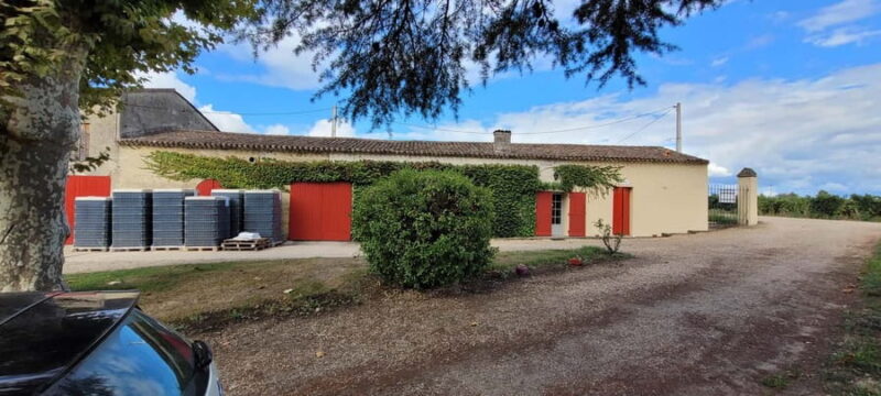 Château Cantelaube: tour and tasting at an unusual wine estate - Château Cantelaube: An Authentic Family Vineyard in Saint Emilion