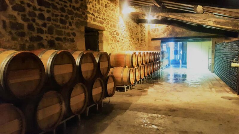 Château Cantelaube: tour and tasting at an unusual wine estate - Visiting the Vineyards and Learning Winemaking Tips