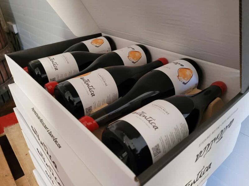 Château Cantelaube: tour and tasting at an unusual wine estate - The Cellar: From Traditional to Unusual Aging Methods