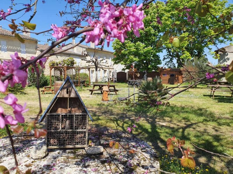 Château Champion: Picnic at the winemaker's - Highlights of Visiting Château Champion: A Picnic at the Winemaker’s Estate