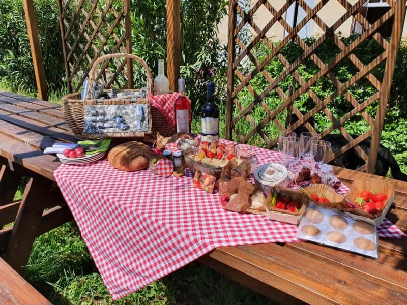 Château Champion: Picnic at the winemaker's - The Vineyard Tour: Insights from Passionate Guides