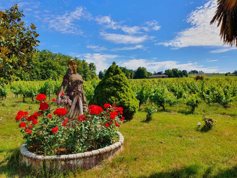 Château Champion: Picnic at the winemaker's - Tasting Three Carefully Selected Wines