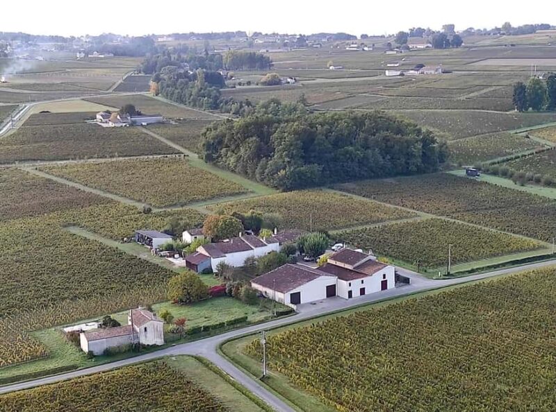 Château Champion: Picnic at the winemaker's - Frequently Asked Questions