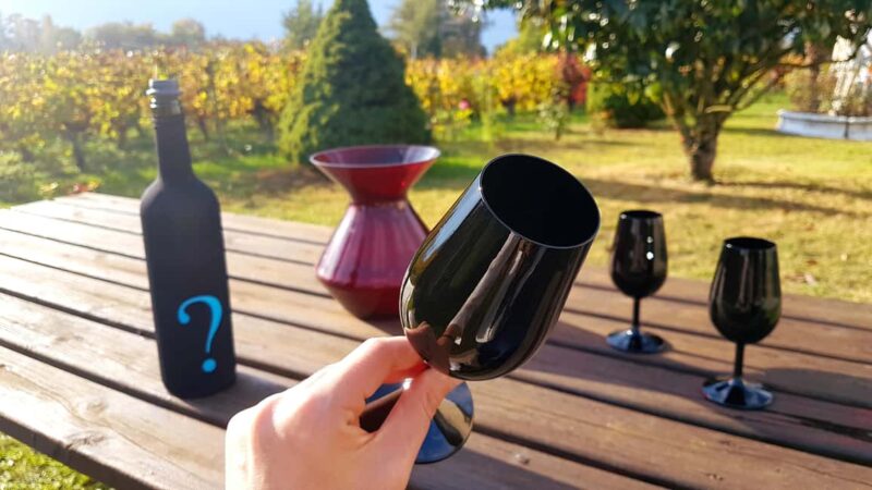 Château Champion: Sensory Workshop - Château Champion: A Family Estate in Nouvelle-Aquitaine