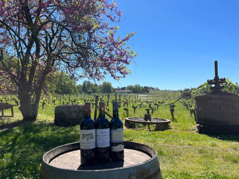 Château Champion: Sensory Workshop - The Tasting of Five Samples: Enhancing Your Senses