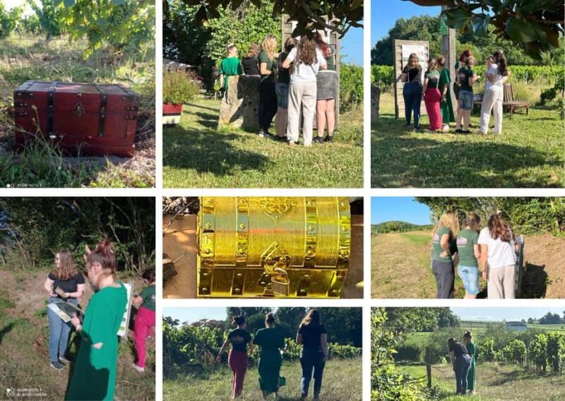 Château Champion: Treasure hunt in the vineyard - Discover the Unique Treasure Hunt at Château Champion in Nouvelle-Aquitaine
