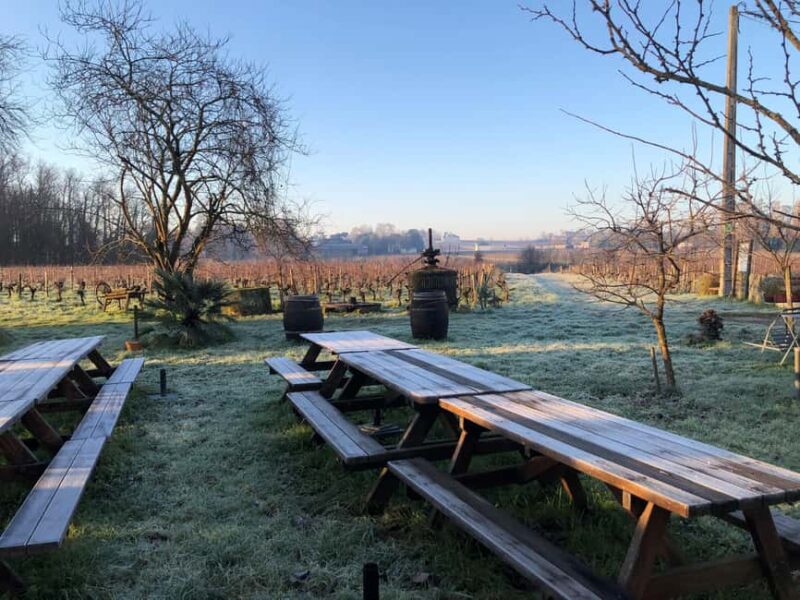 Château Champion: Winter walk and comfort by the fire - Who Will Appreciate This Experience Most