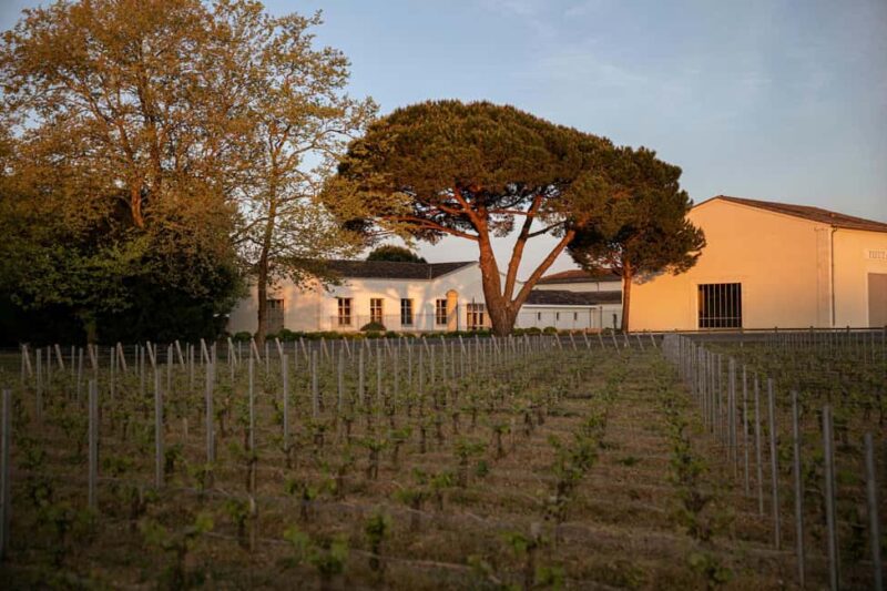 Château de Fieuzal: discover a family Grand Cru Classé in a small group - How This Tour Differs from Similar Experiences