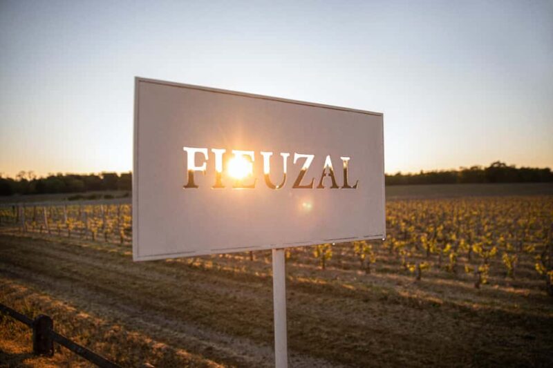 Château de Fieuzal: discover a family Grand Cru Classé in a small group - Who Will Appreciate This Tour Most