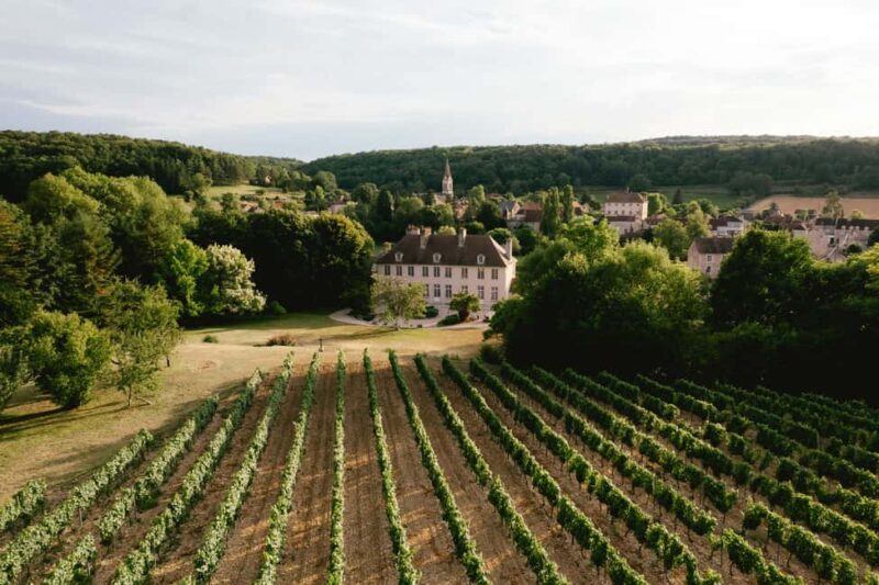 Château de Tavannes: a guided tour of the outdoor estate and the basements - Château de Tavannes: An Intimate Tour Led by the Owner