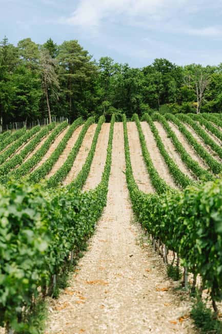 Château de Tavannes: a guided tour of the outdoor estate and the basements - Final Thoughts on the Château de Tavannes Guided Tour