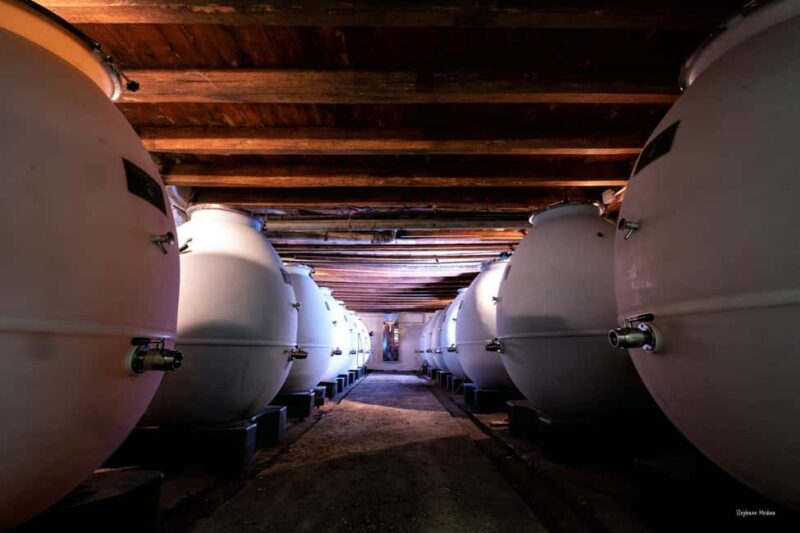 Château de Terride: tour of the wine cellar & wine tasting - Key Points