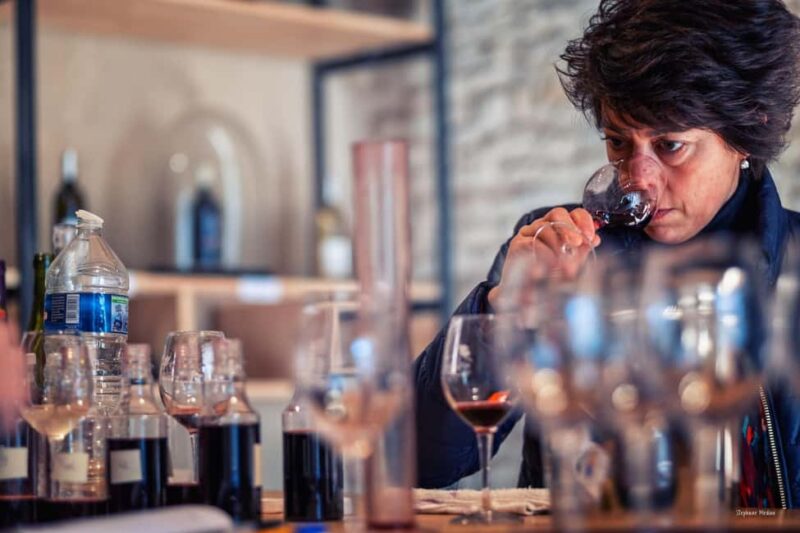 Château de Terride: tour of the wine cellar & wine tasting - The Tasting of Six Iconic Gaillac Vintages